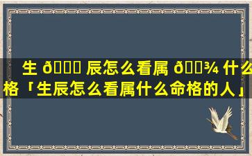 生 🐒 辰怎么看属 🌾 什么命格「生辰怎么看属什么命格的人」